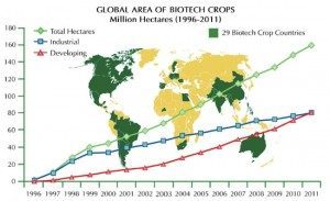 ogm-global-mappa